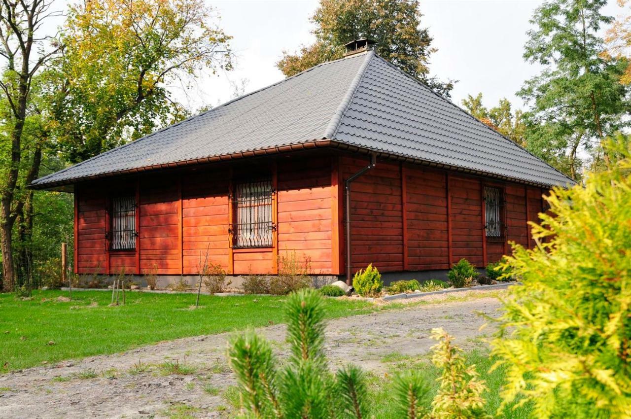 Villa Gajowka Sajczyce - Gospodarstwo Agroturystyczne à Chełm Extérieur photo